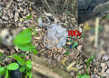 Ossada humana é encontrada perto da Ponte da Amizade, em Teresina