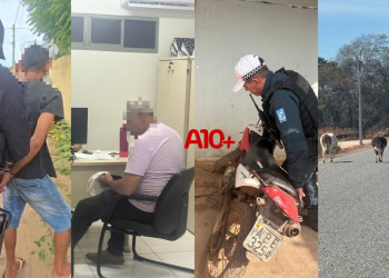 Rota Segura e Porteira Fechada: Polícia conduz suspeitos e apreende animais ao Norte do Piauí