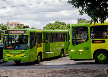 Strans divulga horários dos ônibus em Teresina neste domingo (30); confira