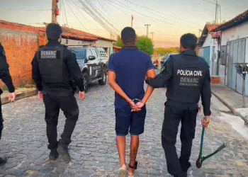 Denarc deflagra operação e cumpre mais de 25 mandados nas zonas Sul e Sudeste de Teresina; VÍDEO!
