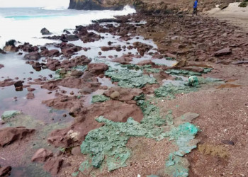 Rochas de plástico chegam a ninhos de tartarugas em ilha brasileira