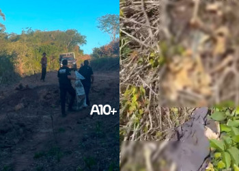 Polícia Civil investiga caso de ossada humana encontrada em área de mata no interior do Piauí