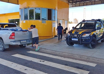 Adapi autua transporte irregular de agrotóxicos em Valença do Piauí