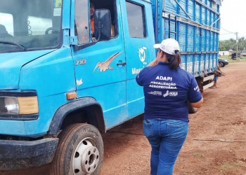 Adapi suspende temporariamente exigência de vacina contra influenza equina para emissão de Guia de Trânsito Animal