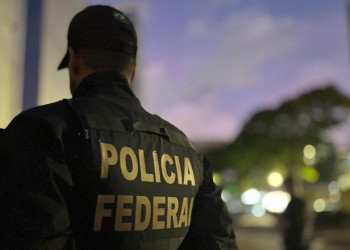 PF combate tráfico de espécies marinhas no litoral do Piauí; documentos e mídias eletrônicas são apreendidos