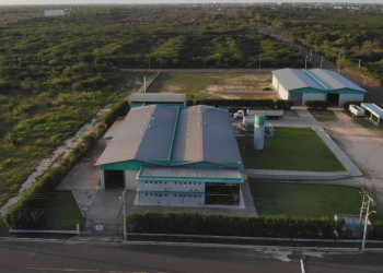 Empresa produtora de cera de carnaúba na ZPE-PI projeta crescimento de 50% em 2026
