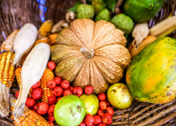 IBGE aponta que seis em cada dez municípios do Piauí não têm lei de segurança alimentar