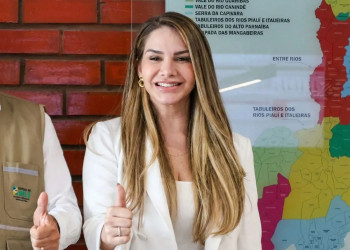 Quem é Anyara Santos, a deputada estadual mais votada do Piauí