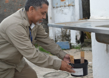 Prefeitura de Teresina intensifica ações de vigilância e combate à dengue e chikungunya