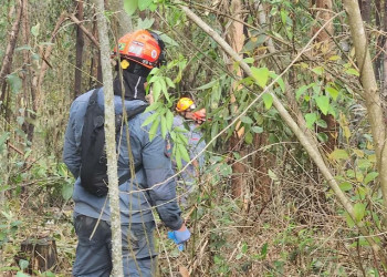 Avião de pequeno porte cai e cinco pessoas morrem no interior de SP