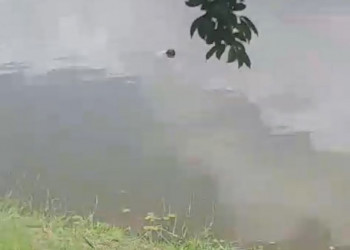 Corpo de homem é encontrado boiando no Parque Lagoas do Norte, em Teresina; polícia investigará morte