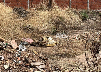 Corpo é encontrado em terreno na zona Sul de Teresina; suspeita de ser jovem sequestrado por facção