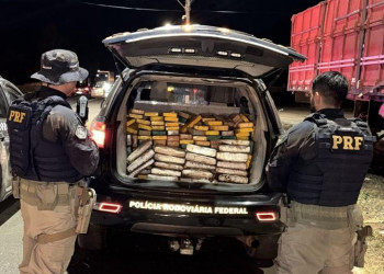 PRF apreende mais de 200 kg de cocaína e skunk em operação na BR 316, Piauí; motorista fugiu