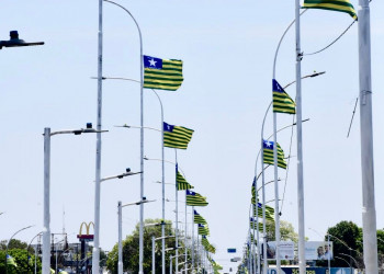 Bandeiras do Piauí ganham destaque nas ruas de Teresina para celebrar o orgulho de ser piauiense