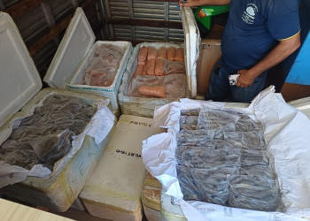 PRF apreende mais de 650 kg de frutos do mar e queijo sem procedência no litoral do Piauí