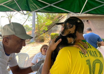 Com 158 mil animais vacinados, campanha contra a raiva em Teresina supera a meta do Ministério da Saúde