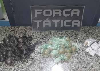 Passageiro é flagrado e preso com maconha dentro de ônibus em ação policial no Piauí