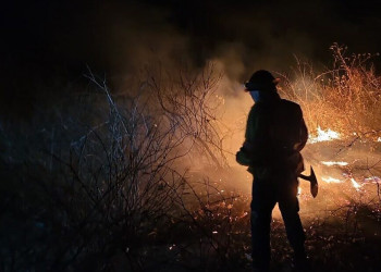 Setembro registra menor número de queimadas em dez anos no Piauí, aponta INPE