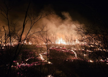 Brigadistas controlam incêndio de grandes proporções em Pimenteiras após quatro dias de combate