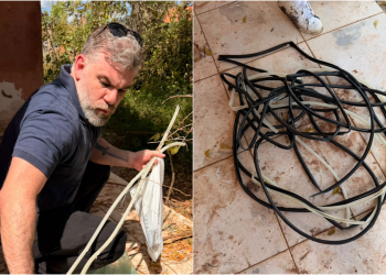 Polícia prende investigado por furtar fios e cabos elétricos de escolas e estabelecimentos comerciais no Piauí