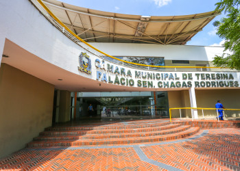 Vereadora faltosa causa mal-estar na Câmara Municipal de Teresina