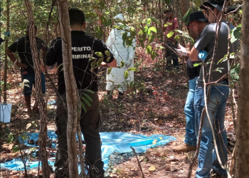 Ossada é encontrada em matagal de Timon e polícia acredita que seja de homem que estava desaparecido