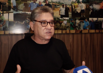 João Mádison fala sobre participação do MDB no governo e diz que oposição não tem nome forte para enfrentar Fonteles em 2026