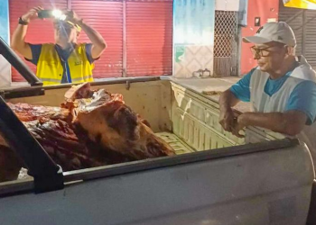 Vigilância Sanitária apreende mais de 280kg de carne bovina clandestina em Teresina