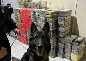 Polícia apreende quase 650kg de drogas escondidas em compartimento de caminhão no interior do Piauí