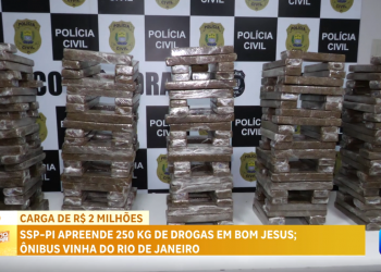 Saiba quem são os responsáveis por 250 kg de drogas trazidas do Rio de Janeiro para o Piauí; carga avaliada em R$ 2 milhões