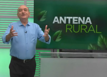 Produção de vassouras artesanais, criação de tambaquis e muito mais: assista ao Antena Rural deste domingo (26)