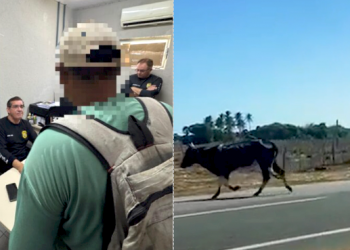 Porteira Fechada: seis pessoas são conduzidas à delegacia e pelo menos 20 animais são apreendidos no Piauí