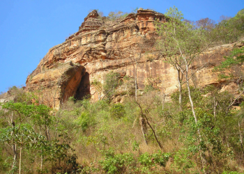 Justiça barra tentativa de grilagem e impede empresa de tomar área da Estação Ecológica de Uruçuí-Una, no Piauí