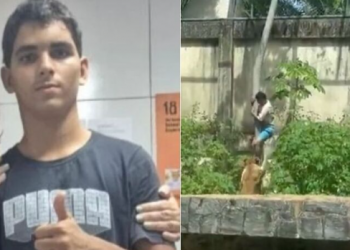 Após jovem em surto psicótico ser morto por leoa em zoológico, deputado propõe criação de Rede de Atenção às Pessoas com Esquizofrenia no Piauí