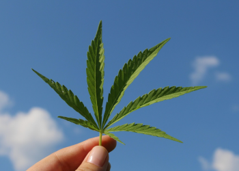 Comissão da Assembleia Legislativa aprova proibição do uso de maconha em ambientes coletivos no Piauí