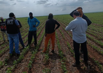 Operação resgata mais de 20 trabalhadores em situação análoga à escravidão em fazenda no Sul do Piauí