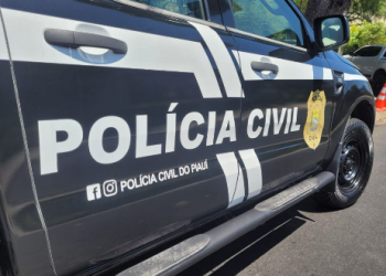 Polícia prende suspeita de estelionato contra idosa no Piauí; mulher pedia dinheiro alegando ajuda para antigo namorado da vítima