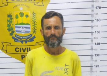 Polícia Militar prende homem por furtos e mulher por receptação no litoral do Piauí