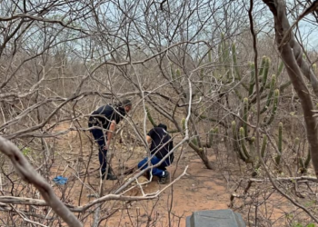 Corpo de homem é encontrado em área de mata no Piauí; população suspeita que seja andarilho com transtorno mental