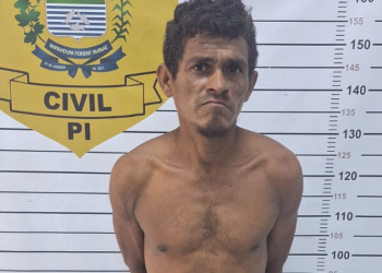 Homem destelha residência, quebra forro, entra em imóvel e é preso por furto no litoral do Piauí