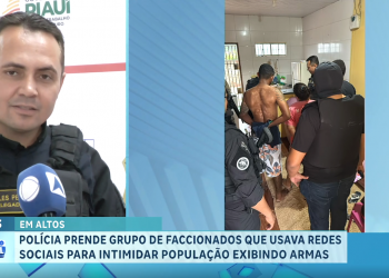 Armas apreendidas, prisões e 