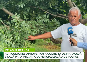 Agricultura familiar transforma produção de frutas em polpas e garante renda no interior do Piauí; assista!