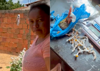 Mulher é presa por tráfico em residência no Piauí; alega que drogas eram do companheiro, mas polícia aponta atuação conjunta do casal