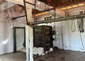 Após constatar irregularidades graves, Justiça determina interdição imediata de matadouro público no interior do Piauí