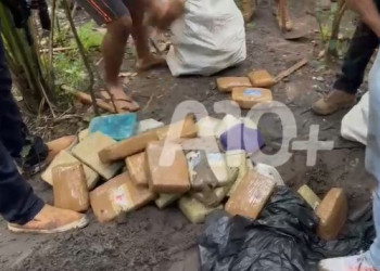 Polícia apreende cerca de 100 kg de drogas enterradas em sítio no Maranhão que seriam distribuídas para o Piauí