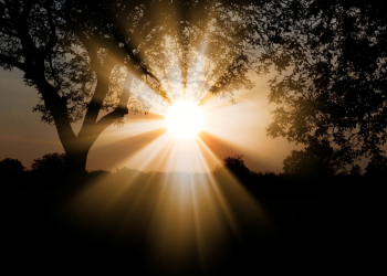 Alepi aprova Indicativo para distribuição de protetor solar no Piauí para pessoas com doenças que demandem fotoproteção contínua