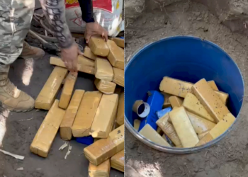 Operação em sítio que armazenava drogas no Maranhão continua e polícia encontra mais entorpecentes; mais de meia tonelada apreendida