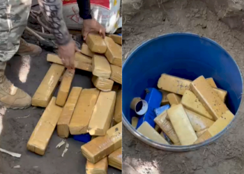 Polícia finaliza operação em sítio do MA que tinha mais de 1 tonelada de drogas; os entorpecentes seriam enviados ao Piauí