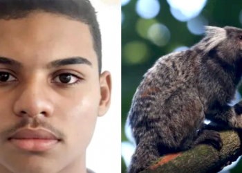 Secretaria de Saúde confirma que adolescente de 17 anos mordido por sagui morreu após contrair raiva humana no Piauí