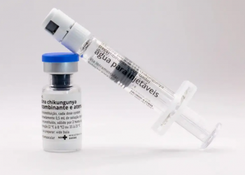 Instituto Butantan vai produzir vacina nacional contra chikungunya